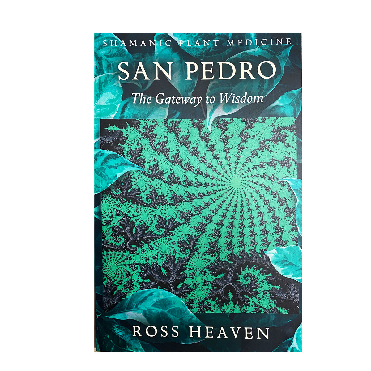 Book-San-Pedro.jpg