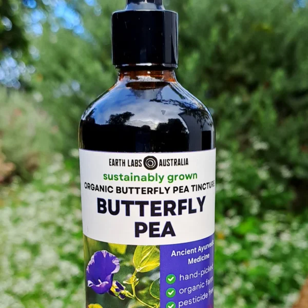 ButterflyPea.webp