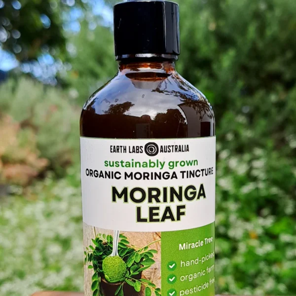 Moringa.webp