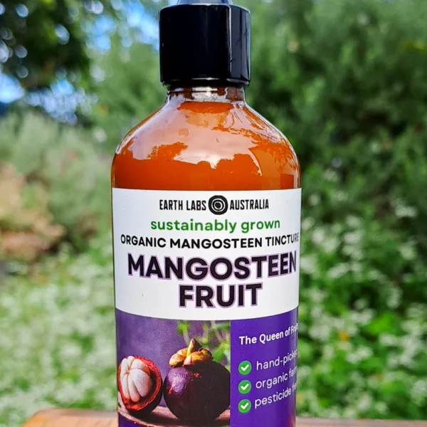 Mangosteen.webp